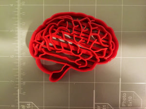 Brain Anatomy Cookie Cutter - Arbi Design - CookieCutz - 3