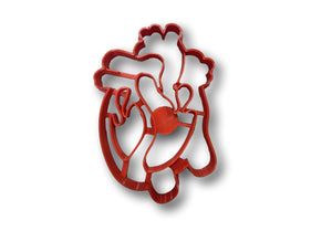 Heart Anatomy Cookie Cutter