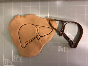 Liver Anatomy Cookie Cutter
