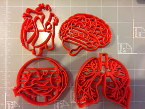 Human Tissue Anatomy Cookie Cutter (Set of 4) - Arbi Design - CookieCutz - 3